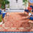 Davonia Performance Floral Rug-20790810