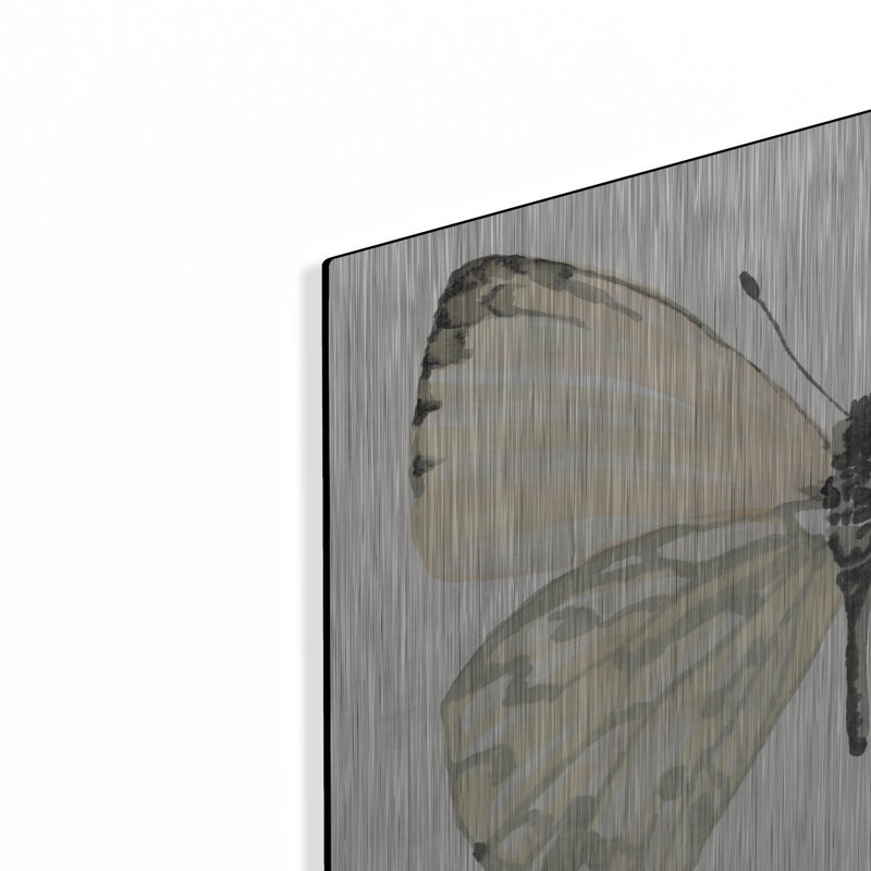 "Butterfly 2" par Stellar Design Studio, H 12 po x l 16 po