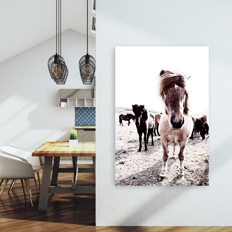 Islande, cheval, Rikka, art contemporain cheval
