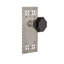 Craftsman Plate with Waldorf Black Door Knob-404818085