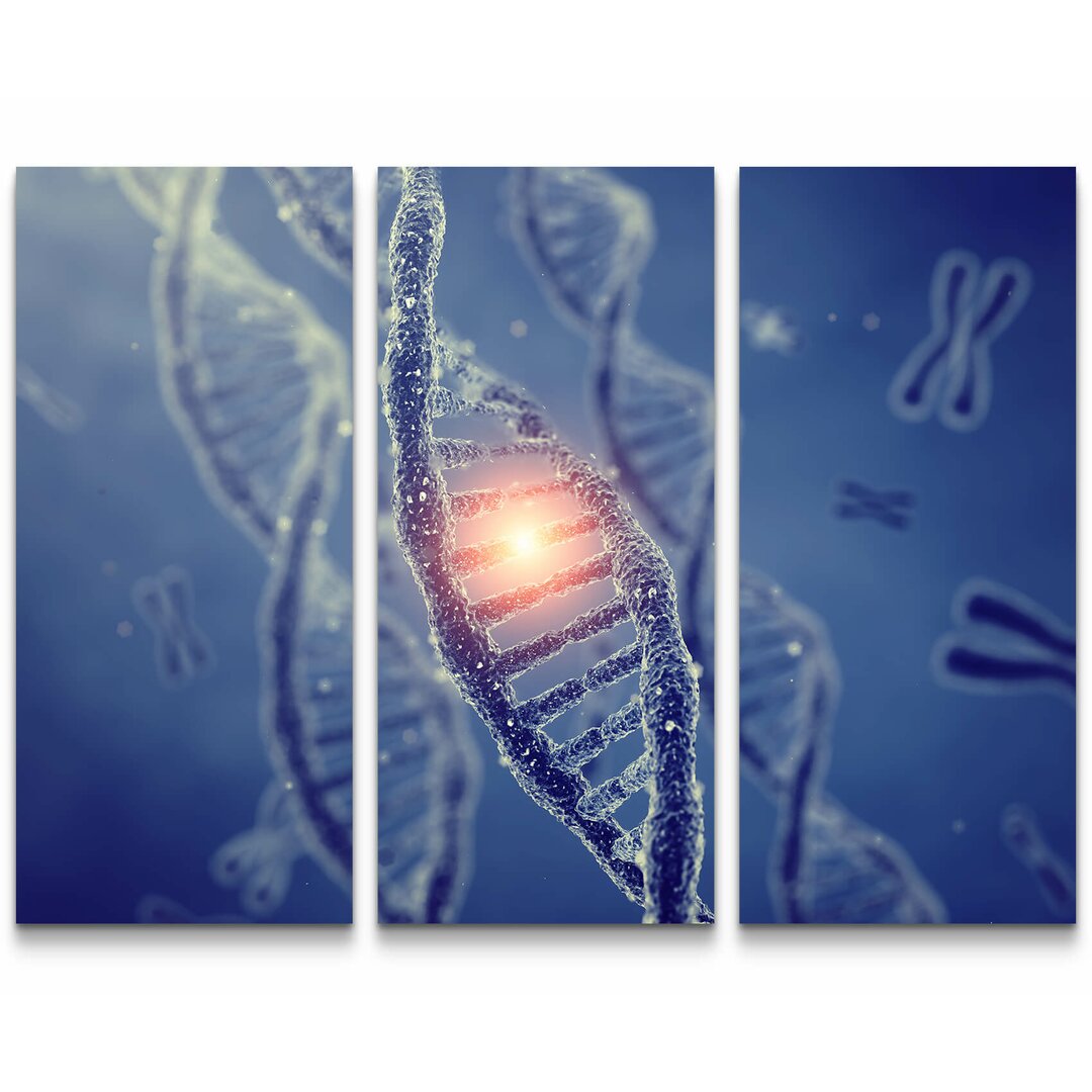 3-tlg. Leinwandbilder-Set Dna