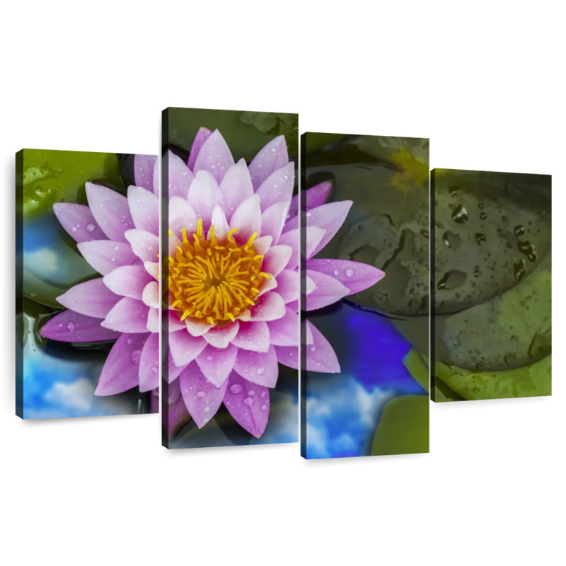 Heavenly Lotus