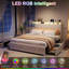 Upholstered Bed-1304044564-1304044563