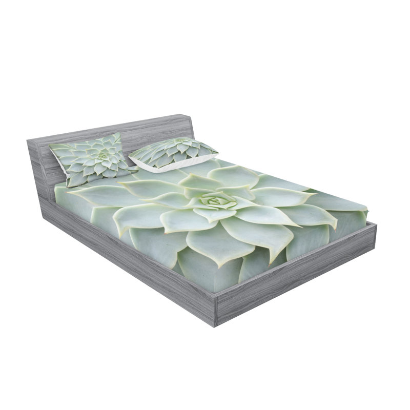 Drap-housse et coussin décoratif Ambesonne Desert, vert sauge, Ensemble de draps pour très grand lit californien
