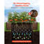 Raised Garden Bed