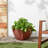 Murtagh Planter-15991274