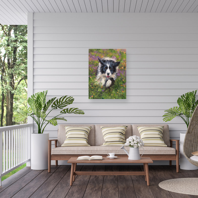 Toile d'extérieur David Stribble Border Collie, H 14 po x l 19 po