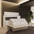 Freestanding Cabinet Bed-2075136302