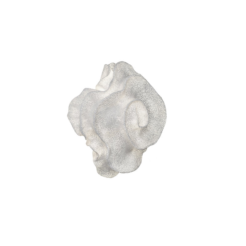 Nevo 1 - Light Flush Mounted Sconce, White, No