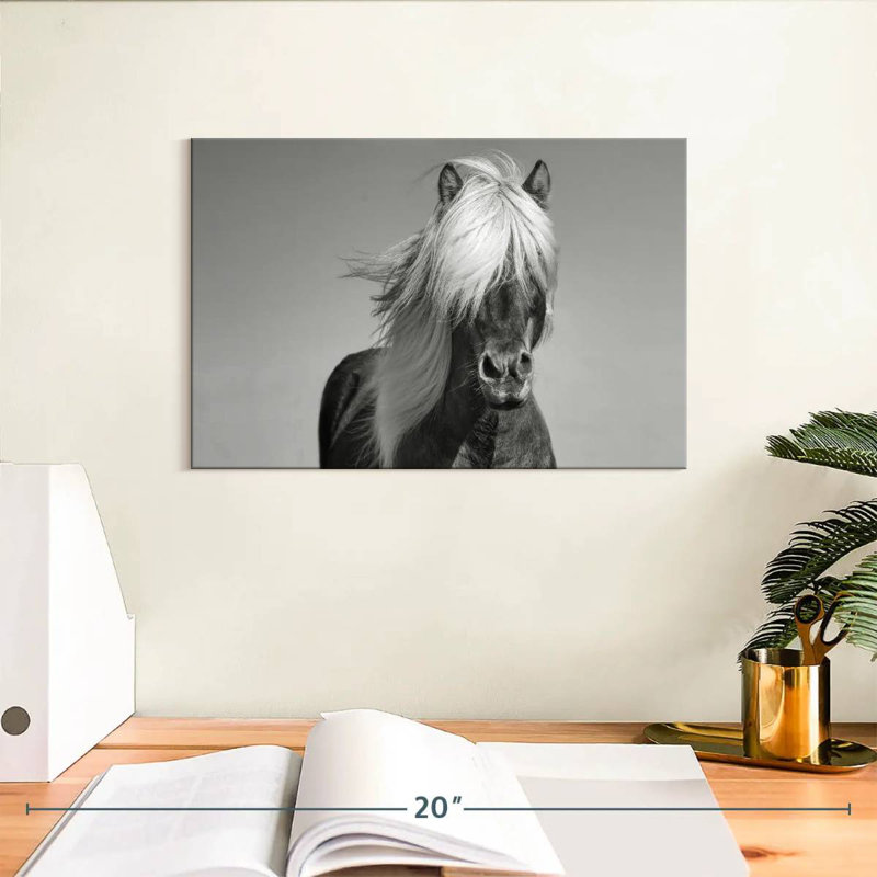 Brampt Pony, 8" H x 12" W