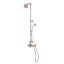 Système de douche thermostatique exposé avec inverseur-98233673