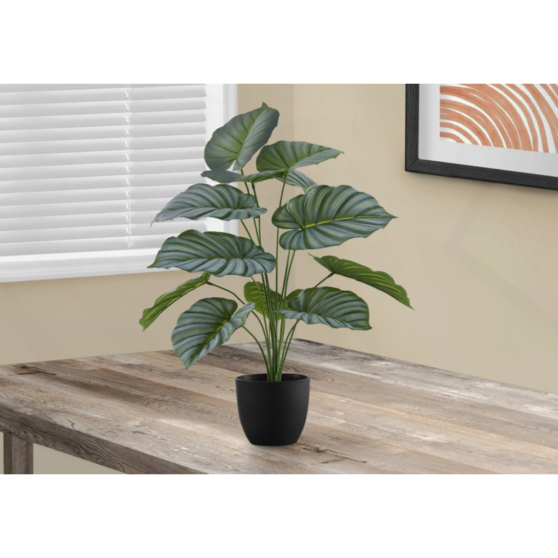 Plante artificielle, 24 po de haut, Calathea, intérieur, faux, faux, table, verdure, pot, touche réelle, décoratif, feuilles vertes, pot