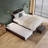 Elliana Solid Wood Platform Bed with Trundle-81971008-87198475