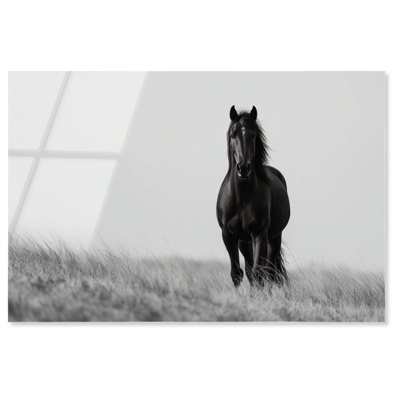 Lone Stallion I Print, 10" H x 15" W, High-Gloss Acrylic Print