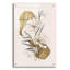 Art mural en verre Winston Porter «Flowers And Gold» par Andreas Magnusson-1032791709