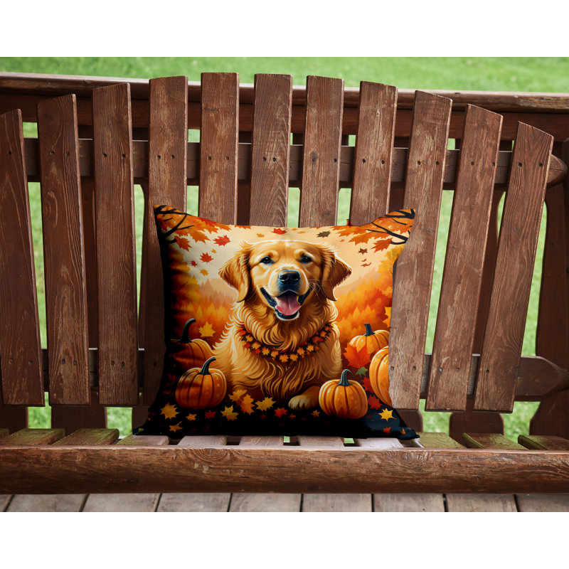  Housse et insert de coussin décoratif en polyester, 14 po x 14 po