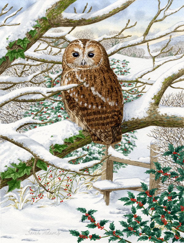Polyester à 2 côtés 40 x 28 po drapeau maison Tawny Owl
