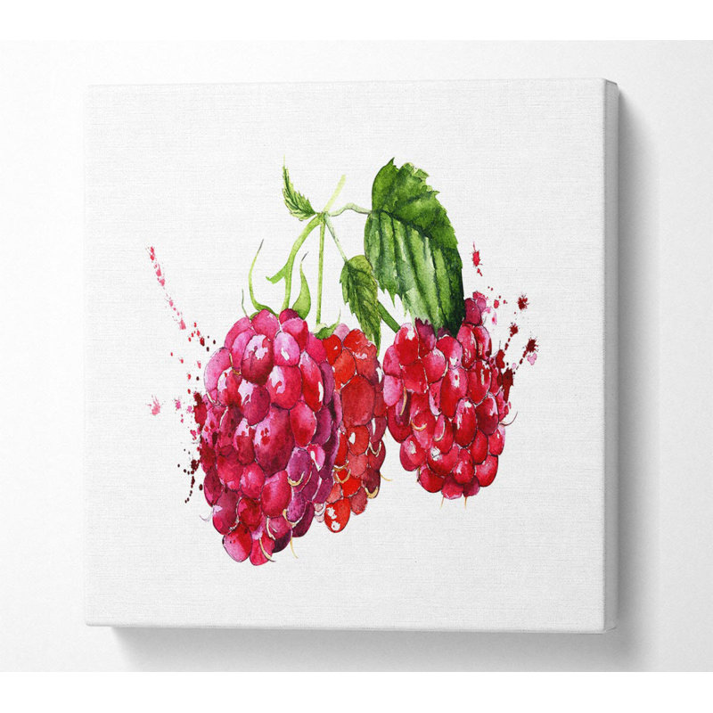 Raspberry Trio - Wrapped Canvas Print, 50.8cm H x 50.8cm W x 10cm D