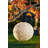Antonucci 12'' Solar Powered Integrated LED