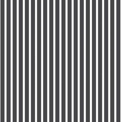 Ayden 10m x 53cm Matte Wallpaper Roll