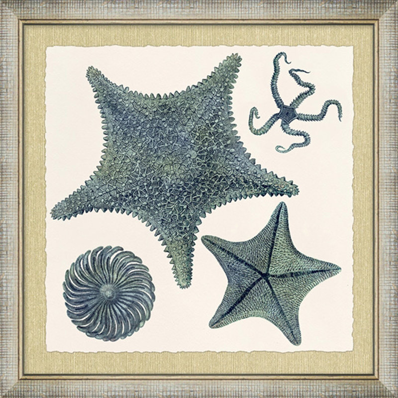 Ocean Jewel Collection 2 Framed Painting