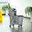 Mop Bucket