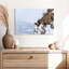 Mouflon d'hiver Brampt-106821447