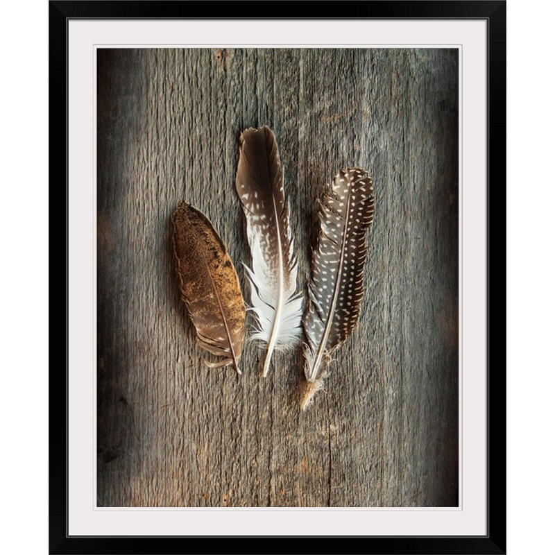 « plumes collection ii » par sue schlabach, reproduction de photo, H 48 po x l 38 po x P 1,5 po, Toile