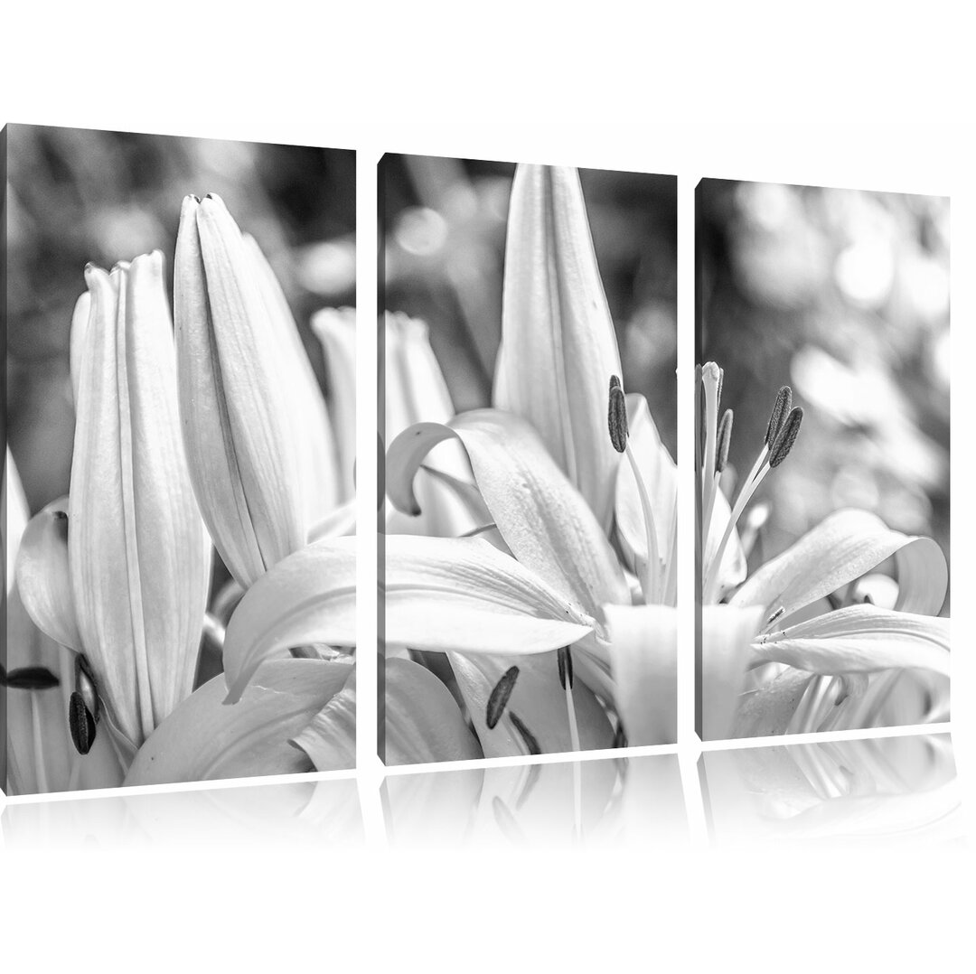 3-tlg. Leinwandbilder-Set „Schöne orangene Lilien“, Fotodruck