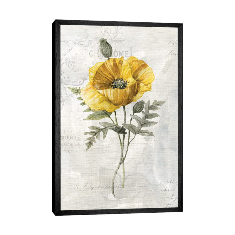 Canary Linen Poppy by Carol Robinson - Print on Canvas, 66.04 cm H x 45.72 cm W, Black Framed