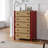Minimalist Modern Multi-Functional Accent Cabinet