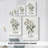 Mountain Laurel I -Gallery Wrapped Cavas-1145549880
