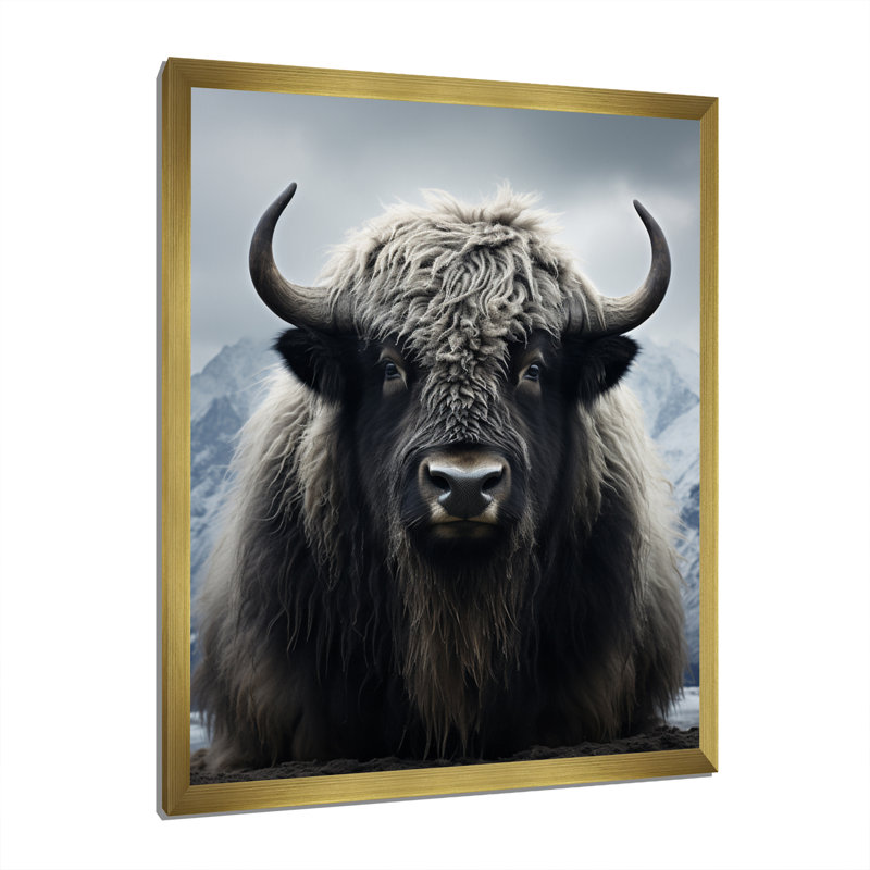 Portrait de yaks noir et blanc III, reproduction d'art sur toile, H 20 po x l 12 po x P 1 po, Or
