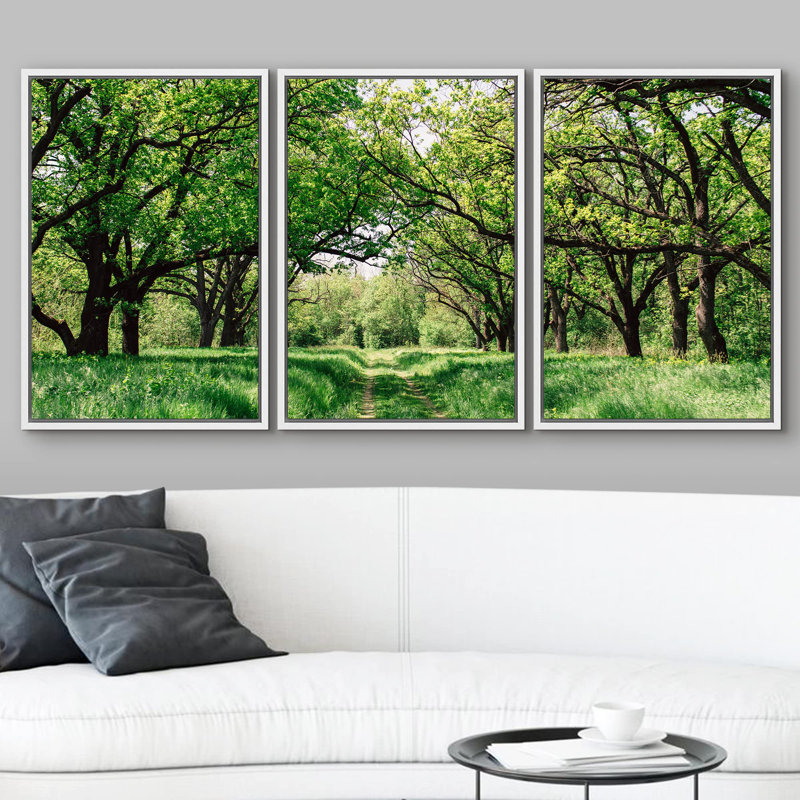 Arbre Southern Country Southern Forest Sentier Photographie Nature Paysage naturel réalisme, Cadre flottant blanc
