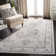 Newsoms Oriental Area Rug