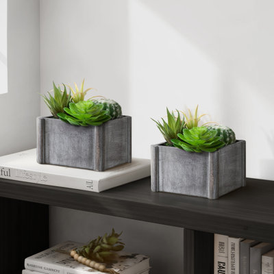 Ensemble de 2 plantes succulentes artificielles, 20 cm de hauteur, fausse verdure de table, pots en bois gris, décoration intérieure moderne
