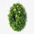 Faux Boxwood Plastic 15'' Wreath-603600517