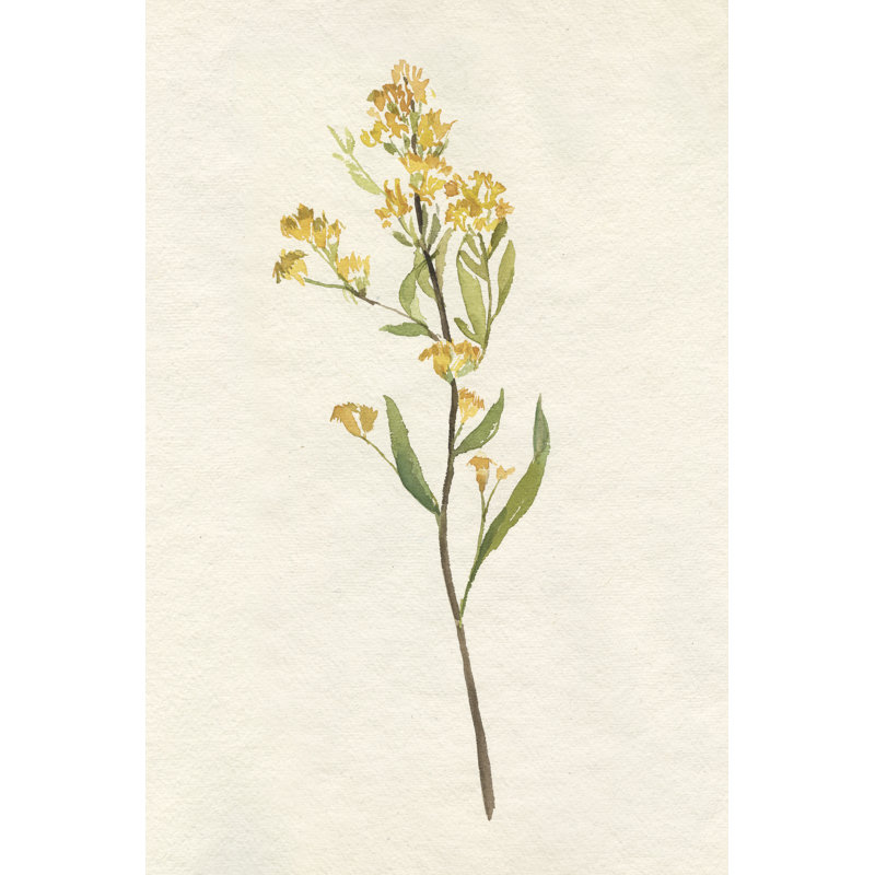 Jaune délicat II, H 18 po x l 12 po, Non, Toile tendue