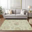 Tapis intérieur / extérieur en polyester tissé à la machine à motif d'aloès tissé à la machine Charysse-109576319