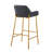 Fixed-Height Barstool