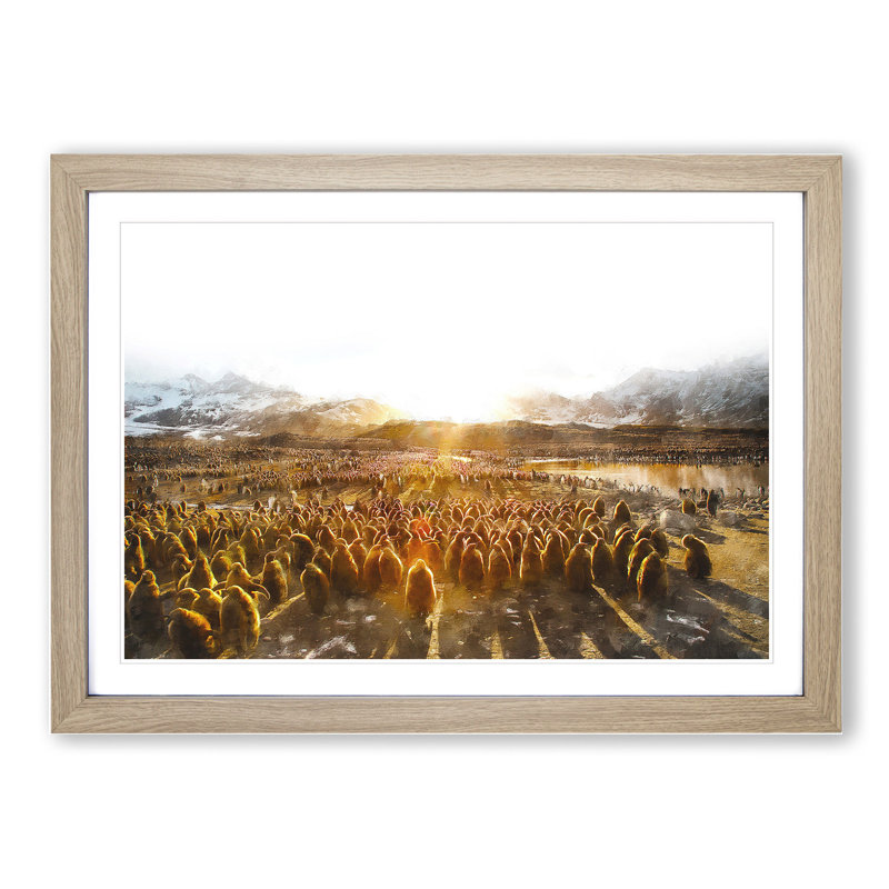Young King Penguins - Picture Frame Graphic Art, 36cm H x 48cm W x 2cm D, Oak Framed