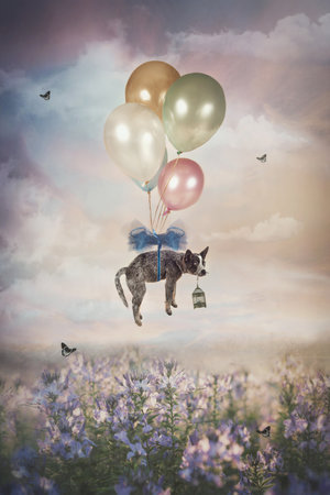 1 Piece Wrapped Canvas Wall Art, 76.2 cm H x 50.8 cm W