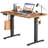 Aguilera Height Adjustable Standing Desk-383855227-378431268