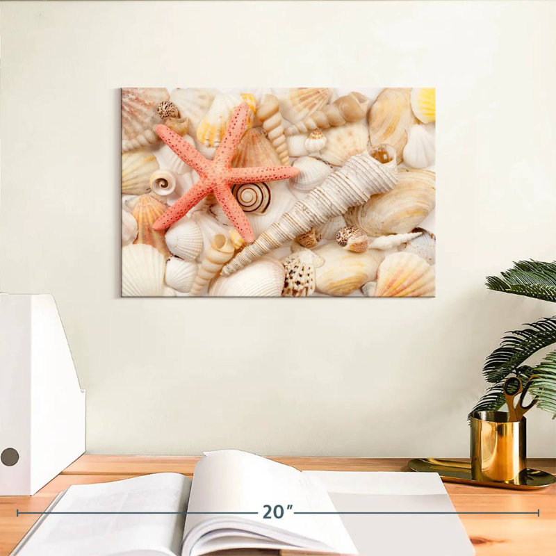 Aletra Seashell Pile, 8" H x 12" W