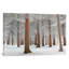 Blanc, reproduction de photo sur toile tendue-74283457-74283458-74283459