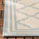Kittrell Looped/Hooked Aqua Indoor/Outdoor Rug