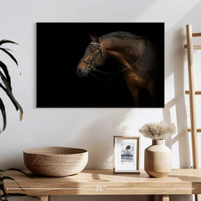 Bridled Dark Brown Horse