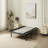 Solen Massaging Zero Gravity Adjustable Bed with Wireless Remote-412141541