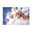 Art sur toile, cerise rose dans le ciel-105644248