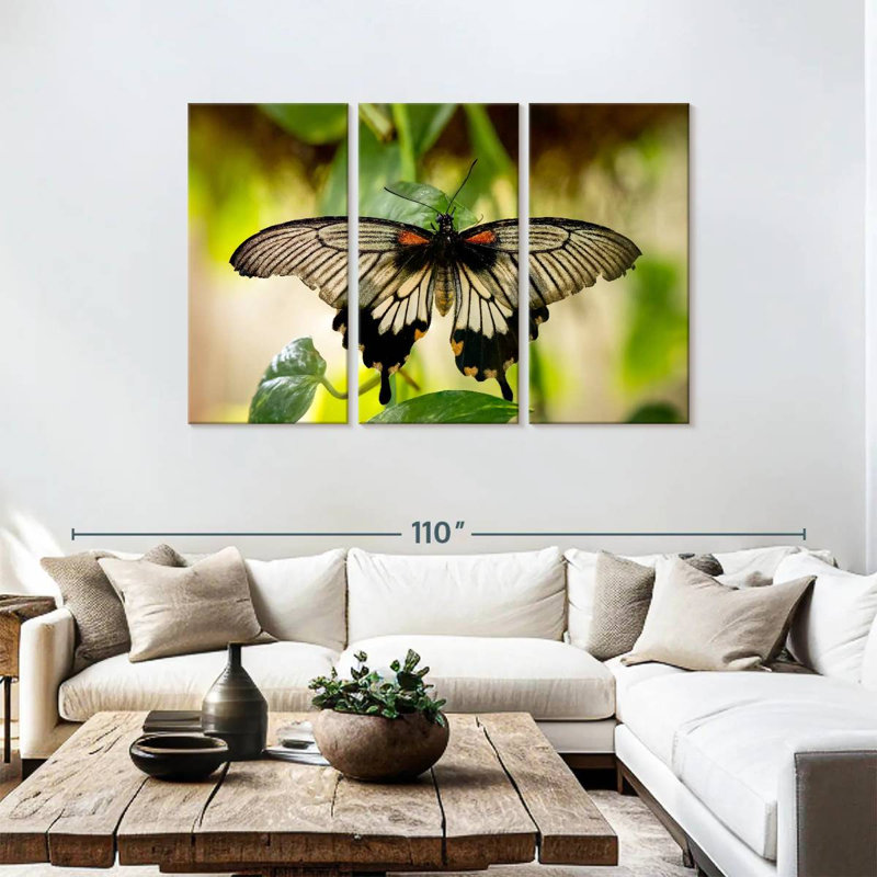 Brampt Monarch Butterfly, 48" H x 74" W